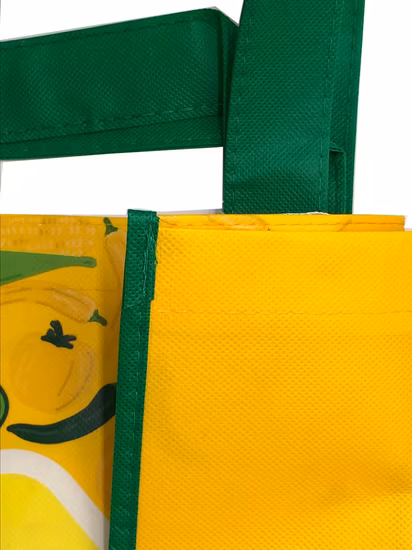 Double Handle Laminated PP Non Woven Shopping Bag for Supermarket